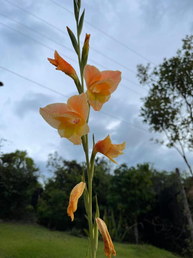Studio Ushunawa Alto Paraíso de Goiás 外观 照片